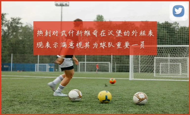 热刺对武什科维奇在汉堡的外租表现表示满意视其为球队重要一员