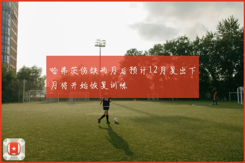 哈弗茨伤缺两月后预计12月复出下月将开始恢复训练