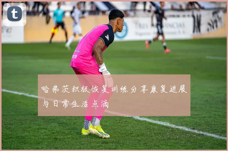 哈弗茨积极恢复训练分享康复进展与日常生活点滴