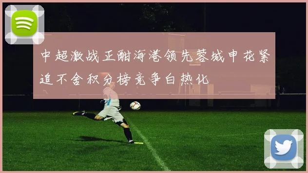 中超激战正酣海港领先蓉城申花紧追不舍积分榜竞争白热化