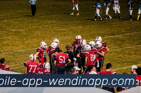 App Interface Preview